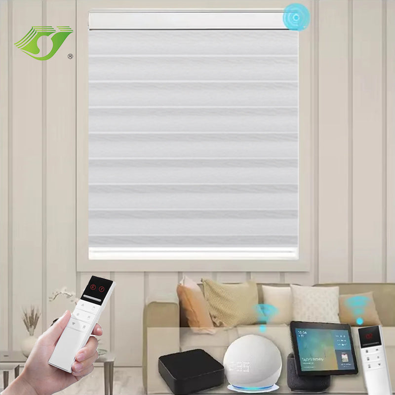 Motorized Roller Blind Zebra Blinds Blackout