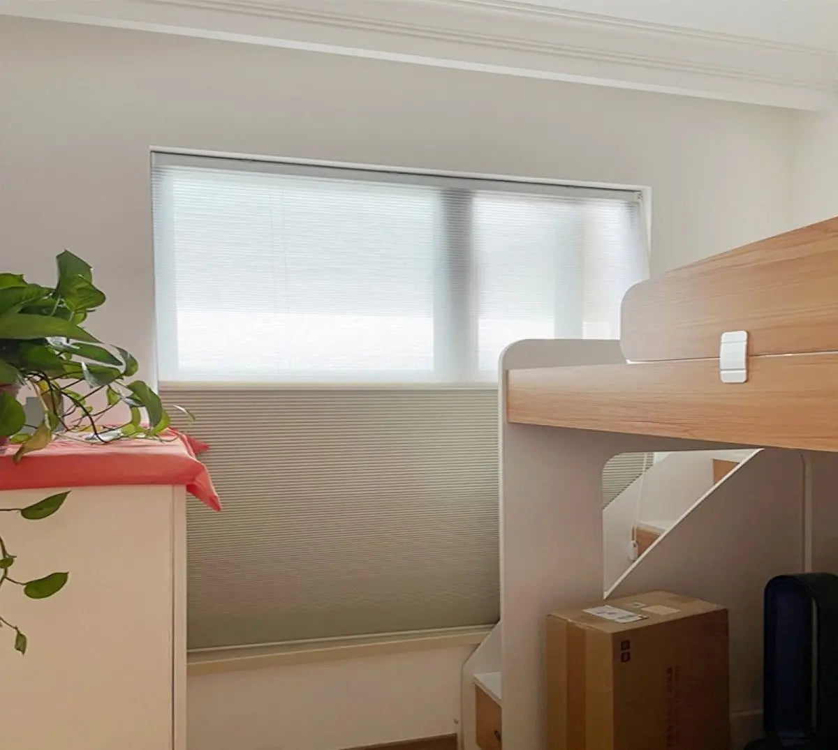 Day and Night Cordless Honeycomb Blinds for Window Shade