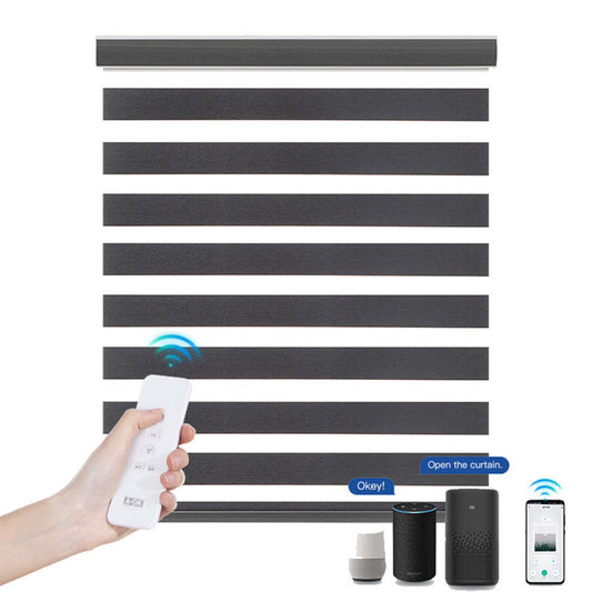 Zebra Blinds for Windows Motorized Roller Blinds