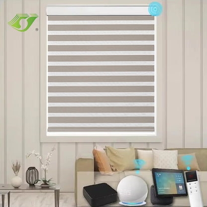 Motorized Roller Blind Zebra Blinds Double Layer
